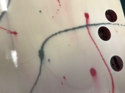 �|���G�X�e�� �t�B�� FCS 10_7